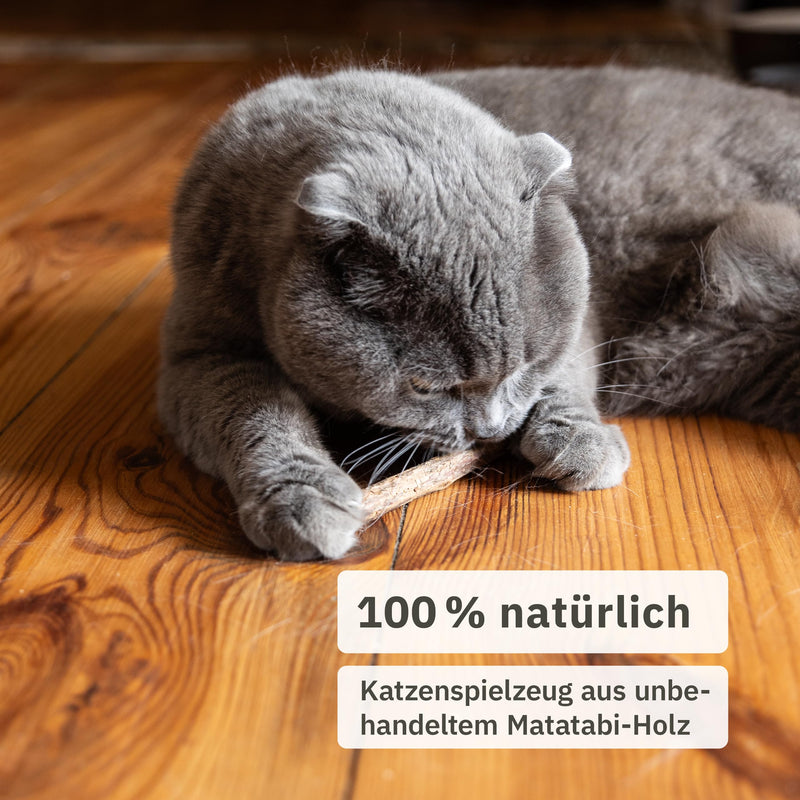 Matatabi Stick Cat: 8 Matatabi Sticks for Cats Dental Care - Wooden Cat Toys for Bad Breath - Cat Chew Toys - Natural Toys for Cats - Cat Sticks - Inovida Cat Accessories - BeesActive Australia