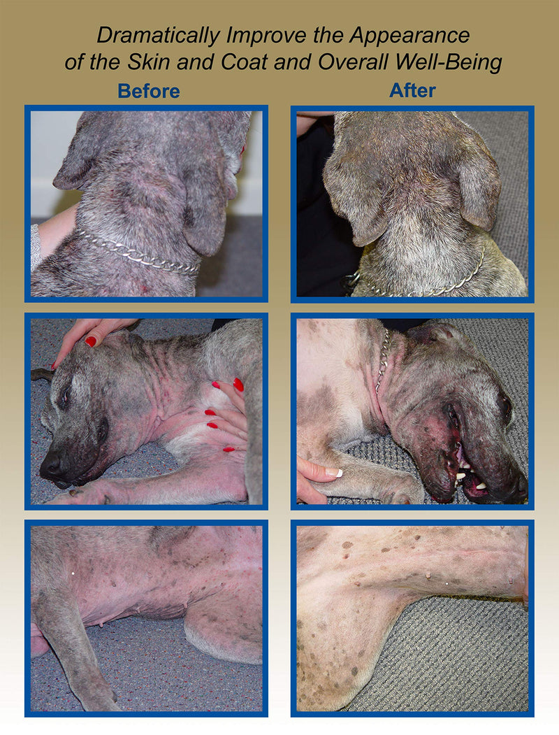 Davis TheraCoat for Pets - PawsPlanet Australia
