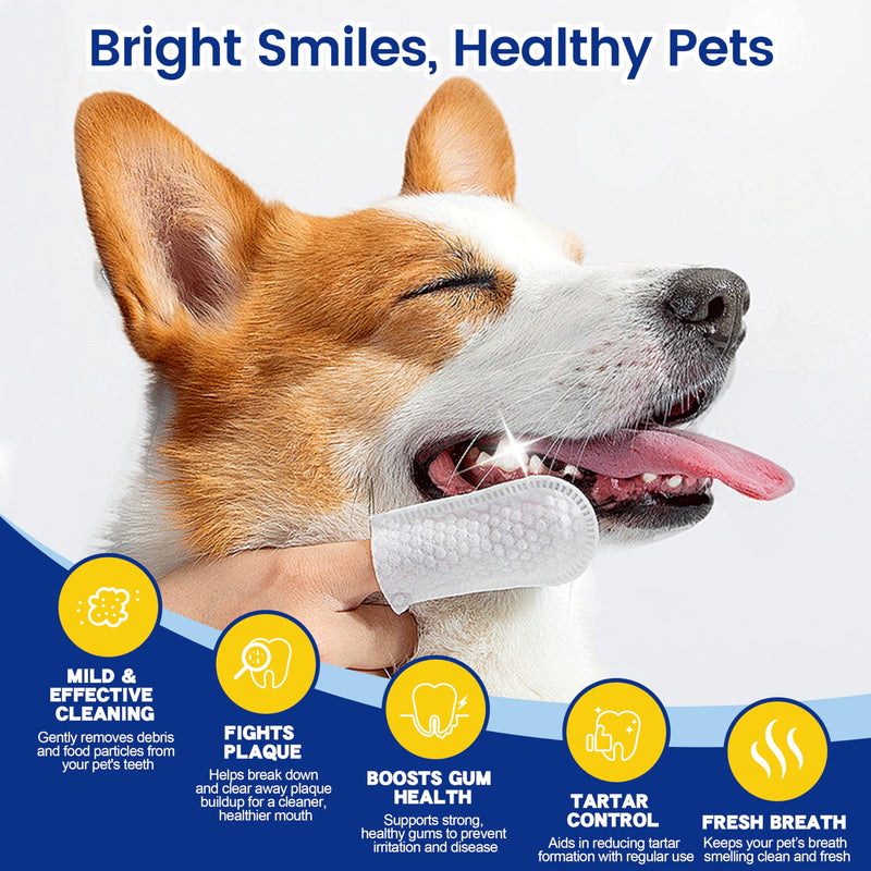 Pet Dental Care Finger Wipes, Reduces Plaque & Freshens Breath, Lick Safe Teeth Cleaning Finger Wipes, Dogs & Cats Toothbrushing Supply, Unscented, 50 Count - BeesActive Australia