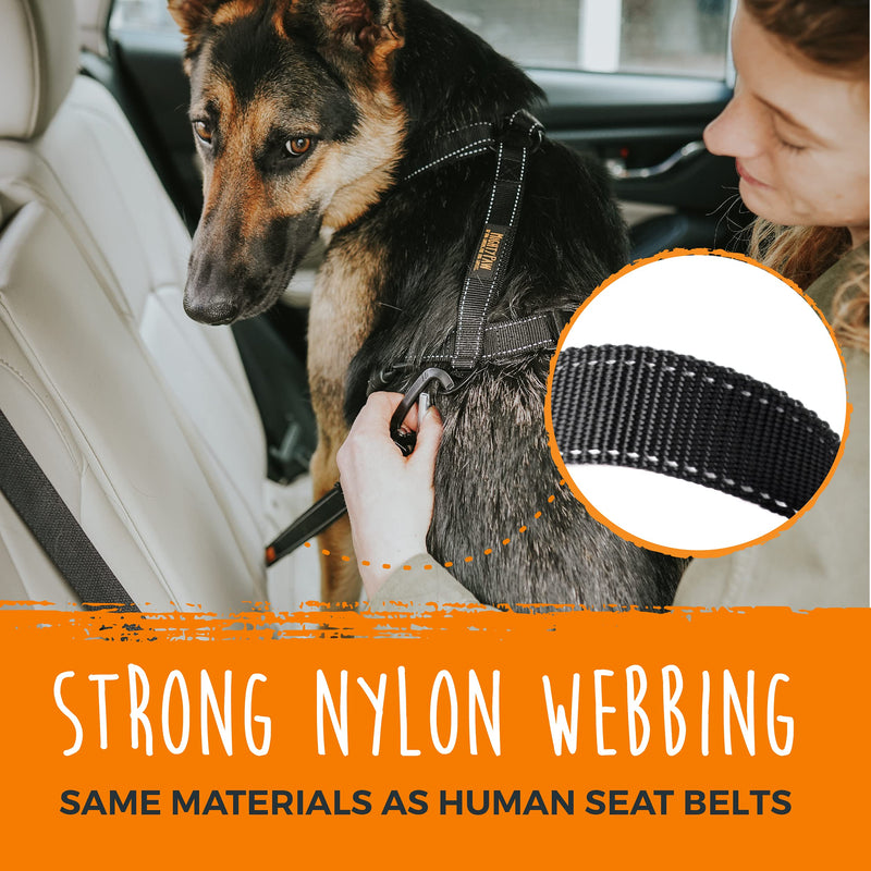 Mighty Paw Dog Seat Belt - Latch Bar Attachment Like A Child's Car Seat - Aviation Aluminum Carabiner - Adjustable Length for Both Large and Small Dogs - Tangle Free Design - Safe Travelling - BeesActive Australia