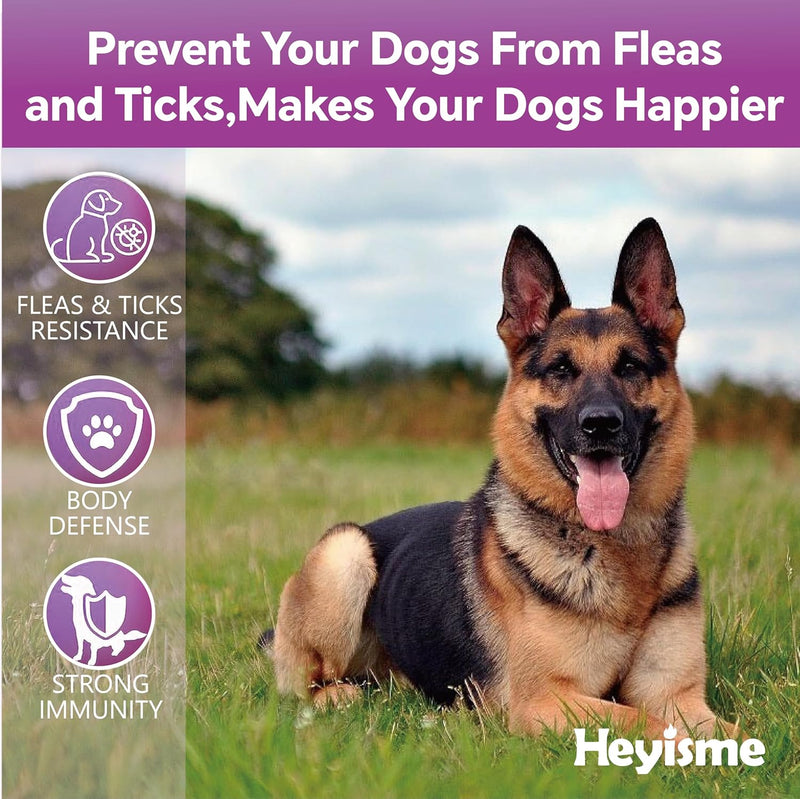 Flea and Tick Prevention for Dogs Chewables, Natural Dog Flea and Tick Control Supplement, Flea Treatment for Dogs, Oral Flea and Tick Chews Treats for All Breeds and Ages (Chicken, 120 Chews) Chicken - BeesActive Australia