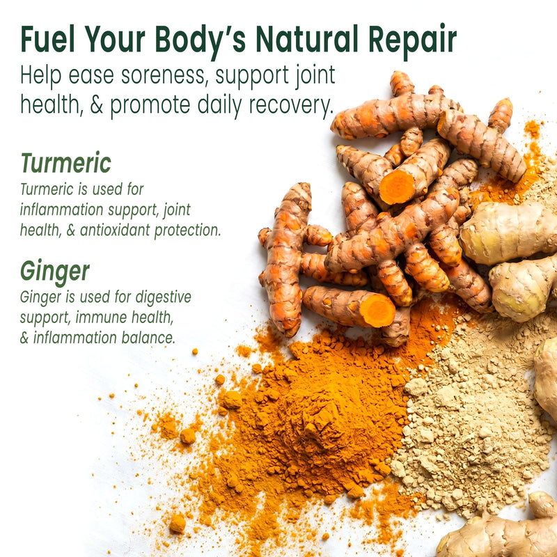 Sunsoil Recovery Organic Gummies, USDA Certified Organic, No Glucose Syrup, Vegan, Gluten-Free, Plant-Based