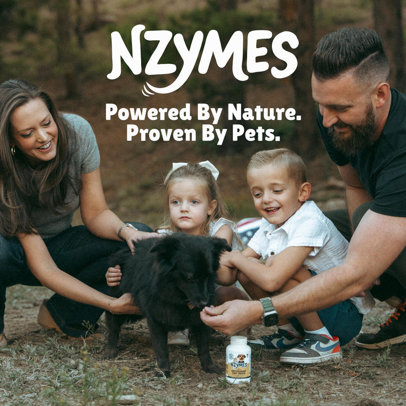Nzymes® Bac-Pak Plus 100 Grams Digestive Enzymes and Probiotics for Digestion, Loose Stools, Diarrhea, Constipation, Improved Nutrient Uptake - Made in The USA 100 grams (Approx. 200 Servings)