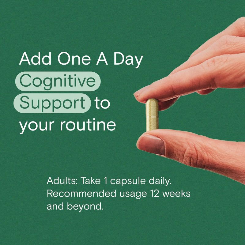 One A Day Cognitive Supplement ‚Äì Brain Supplement to Support Cognitive Performance for Men and Women with Bacopa. Also includes Rhodiola, & Holy Basil, 30 Capsules (Packaging May Vary) 30 Count (Pack of 1)