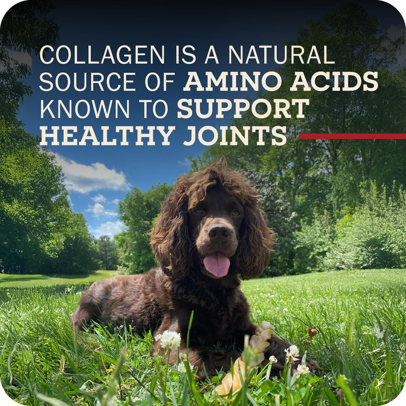 Redbarn Pet Products All-Natural Small 6" Beef Collagen Sticks for Dogs - Long Lasting Low-Odor Alternative to Traditional Rawhide & Bully Sticks - Supports Healthy Joints, Skin, & Coat - 10 Pack Small 6" 5 Count (Pack of 2)