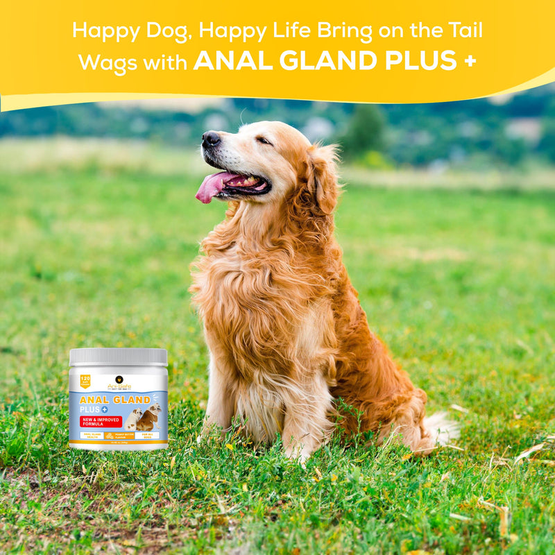 XL Pack - Ani-Safe Anal Gland PLUS Dog Treats for Digestive Pro + Postbiotic - Gut Health, Sensitive Tums, Scooting, Loose Stools, Smelly, Itchy Ears, Enzymes Great for all dogs 120 300g