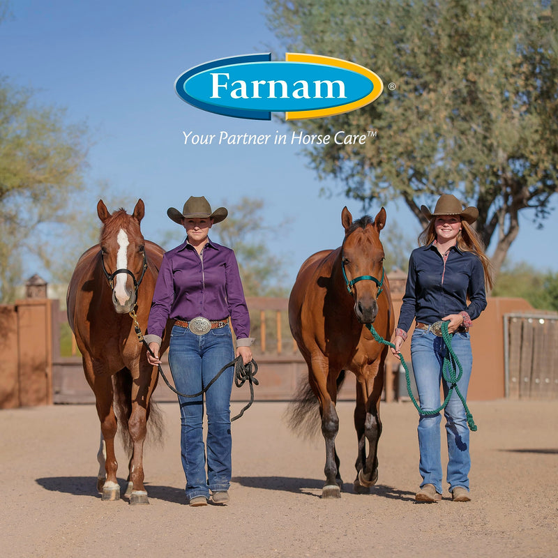 Farnam Apple Elite Horse Electrolyte Paste, Rapid replenisment of minerals lost in sweat during exercise, extreme weather and stressful conditions, 60 cc - BeesActive Australia