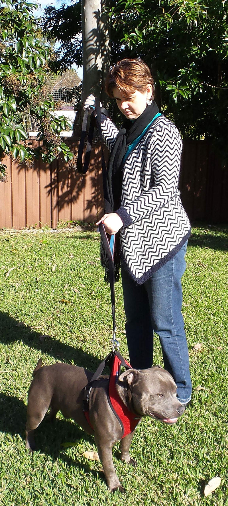 Dog Leash 6ft long,Traffic Padded Two Handle,Heavy Duty,Reflective Double Handles Lead for Control Safety Training,Leashes for Large Dogs or Medium Dogs,Dual Handles Leads(Black) Black-Blue - BeesActive Australia