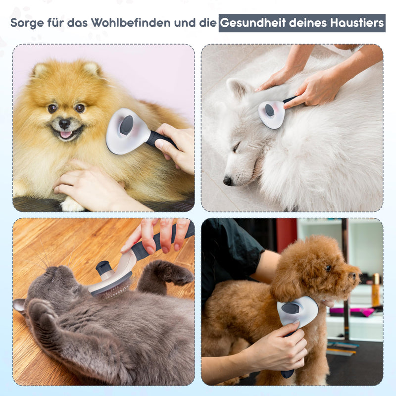 LINUMA® Pet Dog Brush Cat Brush, Pet Brushes, for Long Hair and Short Hair, Fur Brush Cat Hair Brush Grooming & Claw Care Cat Comb Dog Cat Bed Pet Hair Brush Brush (Grey) Grey - BeesActive Australia