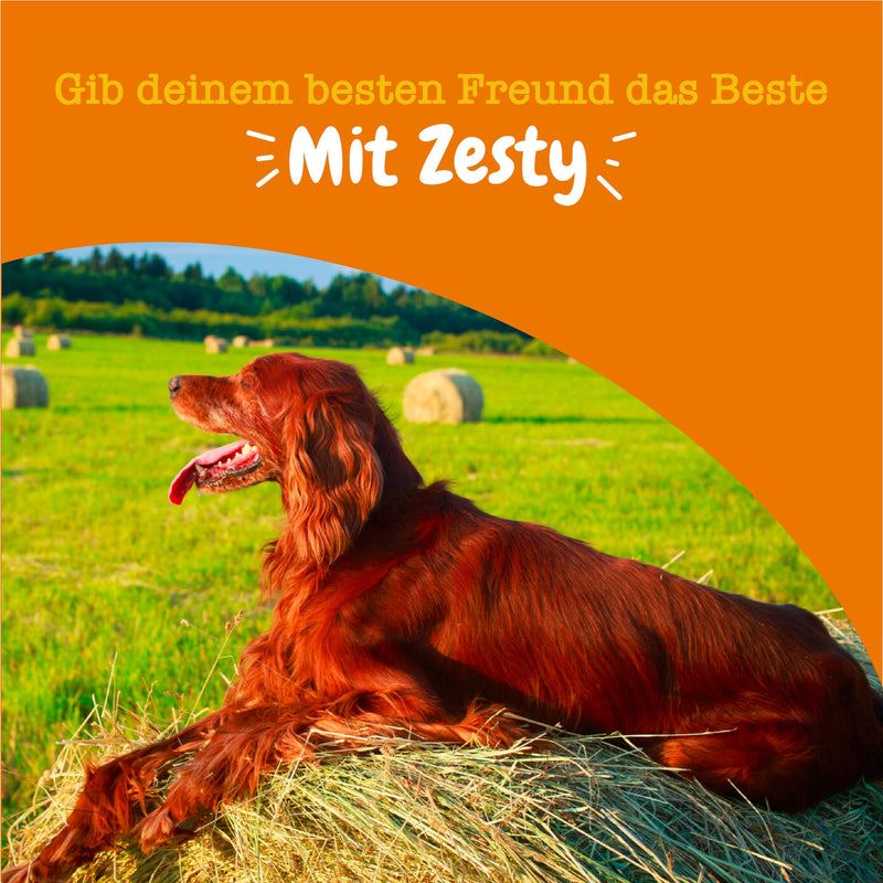 Zesty Paws Allergy & Immunity Chews | Nutritional supplements for dogs | For healthy body function | Rich in Salmon Oil Dogs & Omega 3 Oil for Dogs | 90 PCS - BeesActive Australia