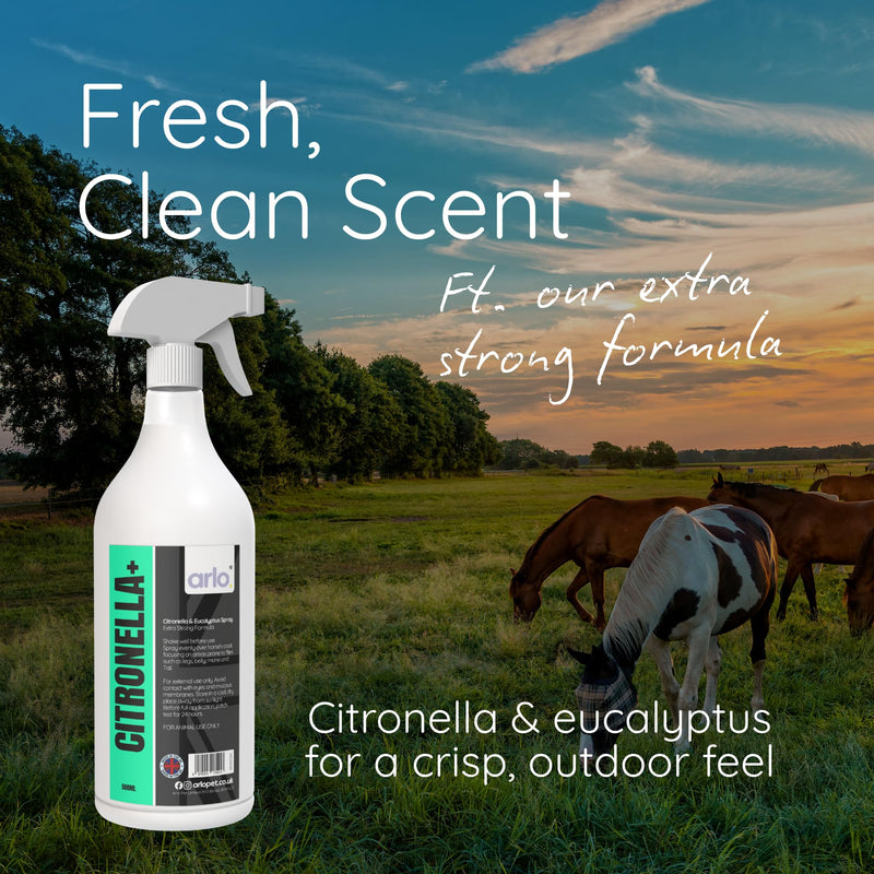 Citronella+ Fly Spray for Horses 500ml – Powerful Insect Protection | Long-Lasting Coat Spray for Horses & Ponies | Fast-Acting & Easy to Use | Summer Horse Care Essential