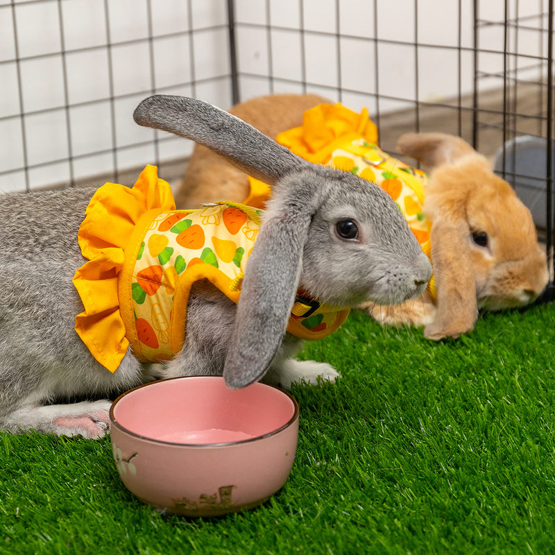 Rabbit Harness and Leash for Walking Escape Proof - Cute Carrot Pattern Mesh Breathable Bunny Vest Harness Outdoor Camping Hiking Training - Also Suit for Ferret Kitten Puppy Small Animals S (neck:5.5"-7" chest:7"-9.8") Yellow - BeesActive Australia