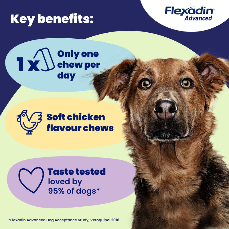 Flexadin Advanced Joint Care Supplement for Dogs containing Undenatured Type II Collagen, Boswellia serrata, Omega 3 & Vitamin E/Promotes joint health, mobility & flexibility | 60 chews