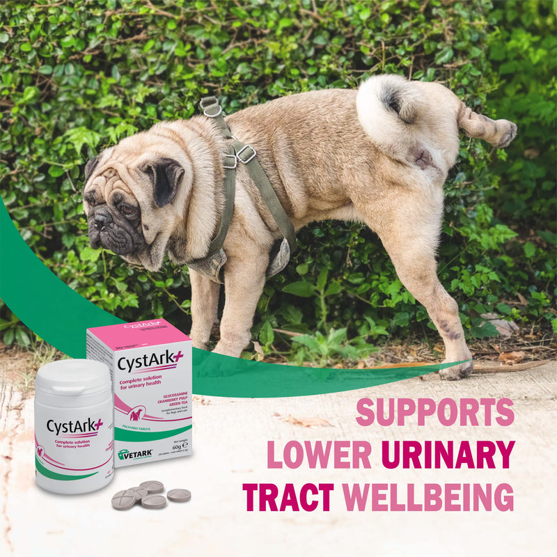 CystArk+ Tablet | Supports Urinary Health in Dogs & Cats | Easily administered | 30 tablets