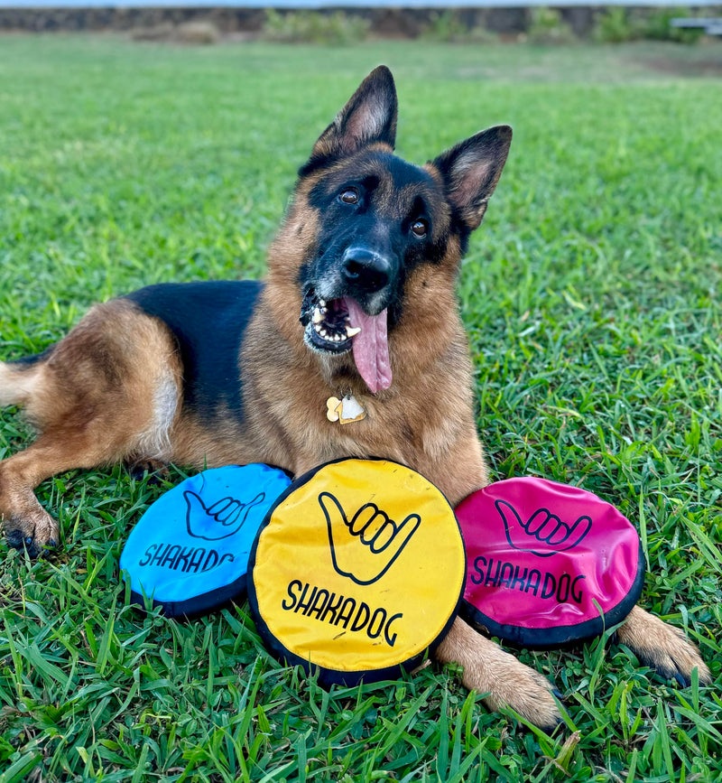 ZippyToss Flying Interactive 9" Dog Disc and Fetch Toy – Floats in Water & Safe on Teeth (Multi-Color, 5 Pack) Multi-Color - BeesActive Australia