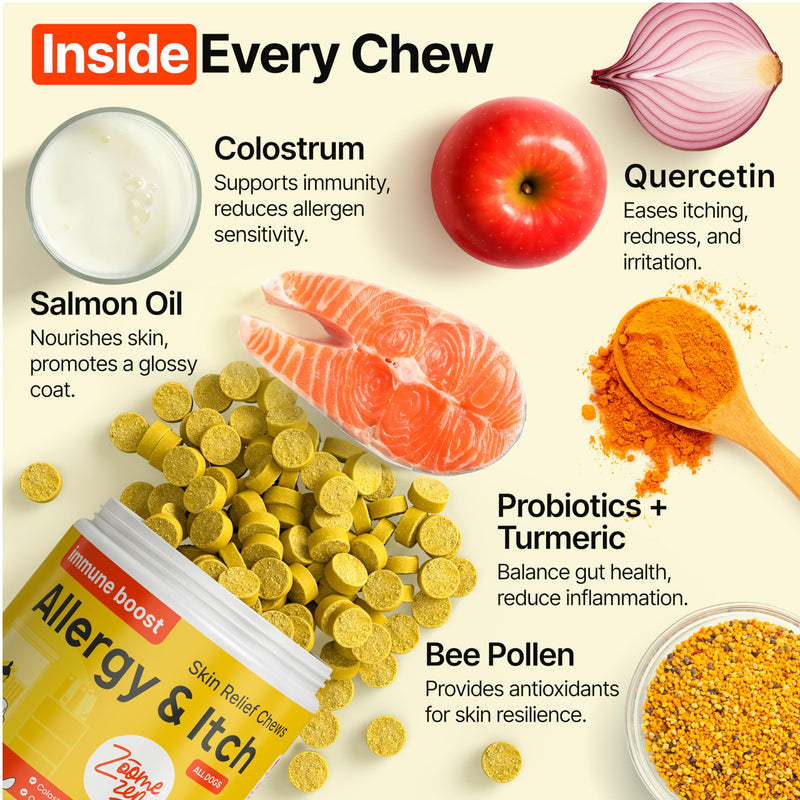 Dog Allergy Chews – Dog Allergy Relief, Itch Relief for Dogs – Anti Itch, Allergies & Immune Chews for Dogs with Omega 3 Fish Oil, Colostrum & Probiotics – 340 Count, Made in USA 340 Chews