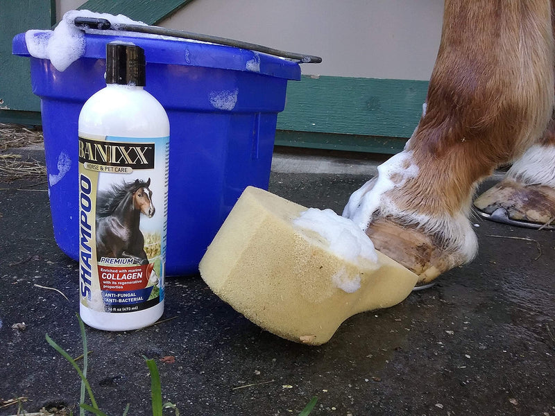 BANIXX Essential First-Aid Solution - BeesActive Australia