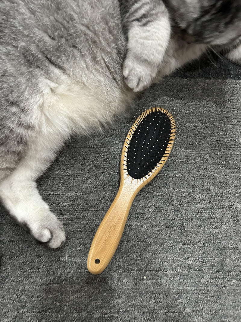 PROBUSINES-Pet Dog Brush Natural Bamboo Fiber Eco-Friendly Pet Grooming Dog and Cat Double-Sided Needle and Bristle Pet Deshedding Brush - BeesActive Australia