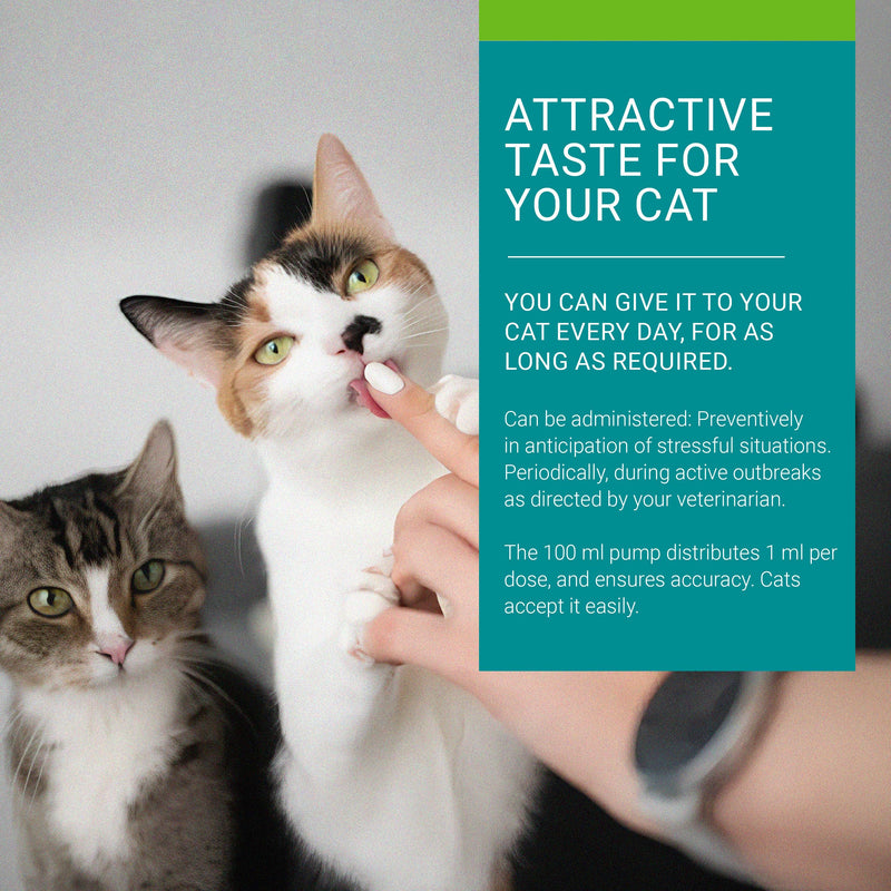 Enisyl-F Oral Paste for Cats - 100 mL