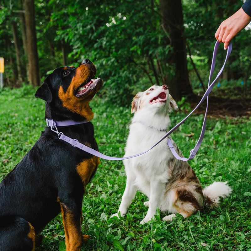 Waterproof Dog Leash | BearBone Double Ended Dog Leash | PVC Rubber Dog Leash with Dual Clip for Versatility | Lilac Dog Leash for Medium Dogs and Large Dogs (Lilac, Medium) - BeesActive Australia