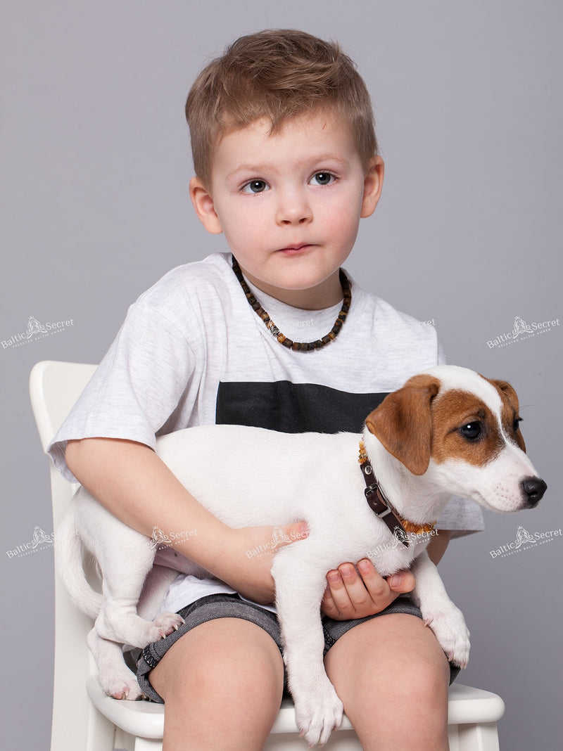 Amber necklace dog | Adjustable amber collar for dogs & cats with leather strap | Dog collar 55-60 - BeesActive Australia