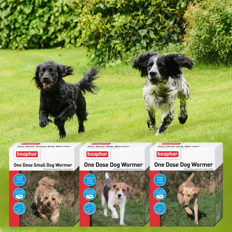 Beaphar – One Dose Dog Worming Tablets – For Medium Dogs Weighing 6kg to 20kg – Kills Roundworms and Tapeworms - Veterinary Medicine – Easy-To-Give Tablets – 2 tablet pack