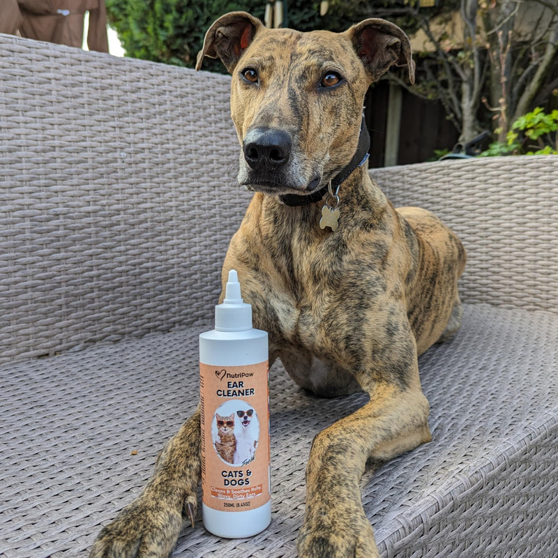 NutriPaw Ear Cleaner For Cats & Dogs (250ml) - Soothe Itchy, Gunky, Waxy & Smelly Ears - Stop Head Shaking, Ear Scratching & Rubbing - Support Ear Health - For Daily Use - Great for all pets