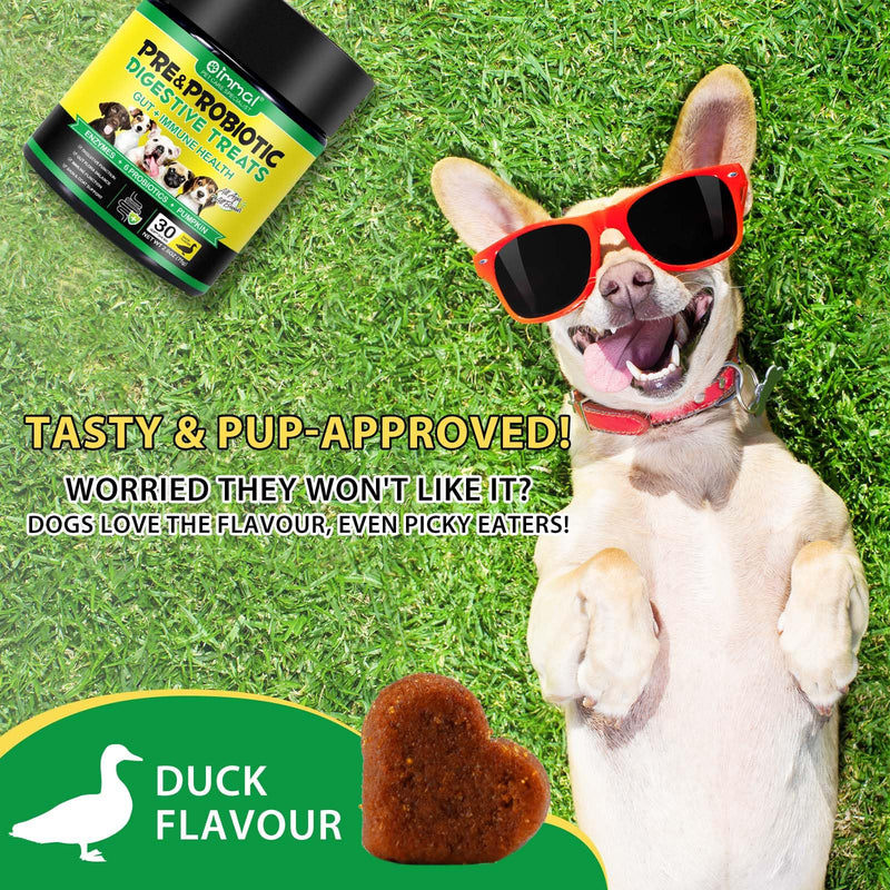120pcs Probiotics for Dogs,Dog Probiotics Supplements,Gut Flora Balance,Skin & Coat Support,for Small, Medium and Large Dogs(Duck Flavor)
