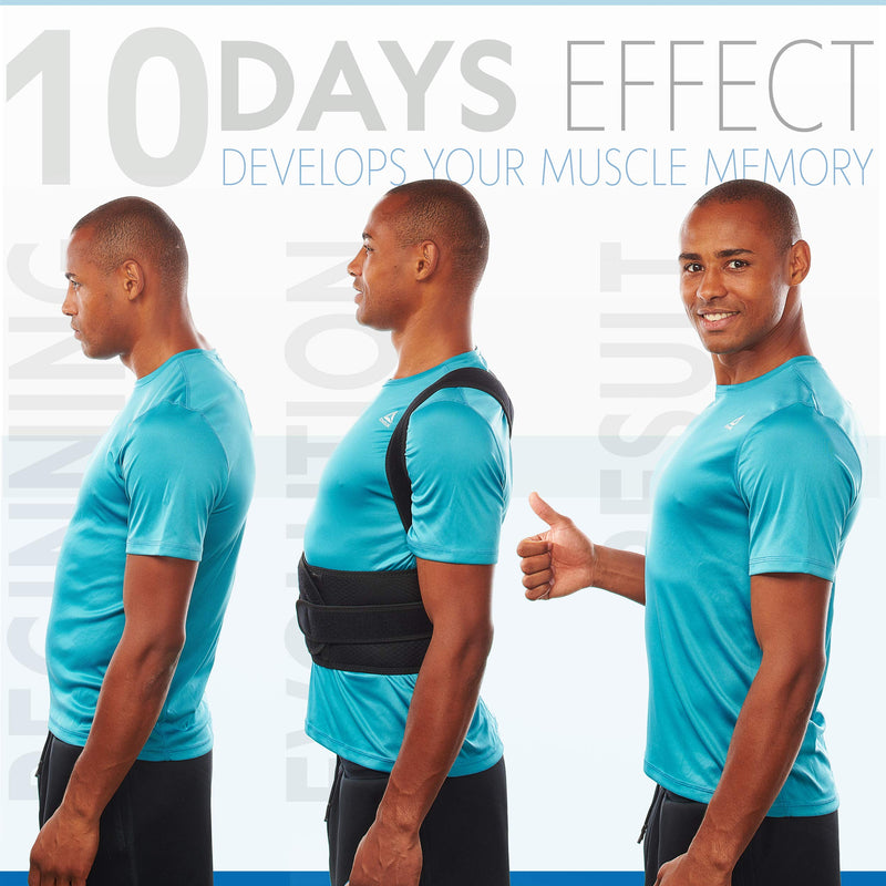 Selbite Posture Corrector for Men and Women - Back Brace for Upper and Lower Body Support - Adjustable Straightener with Pain Relief and Muscle Memory (Large) Large (Waist 38”-44”) - BeesActive Australia