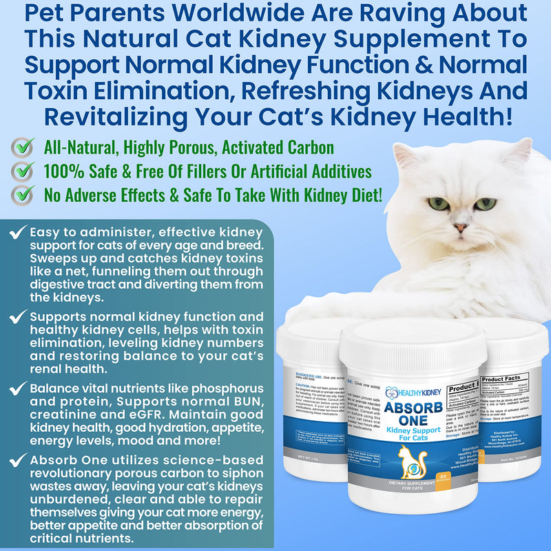 Cat Kidney Support Supplement for Normal Kidney Function in Cats. Natural Feline Kidney Cleanse Take with Any Kidney Cat Diet Food. Vet-Formulated 1/8 TSP a Day 60 Servings: Absorb One