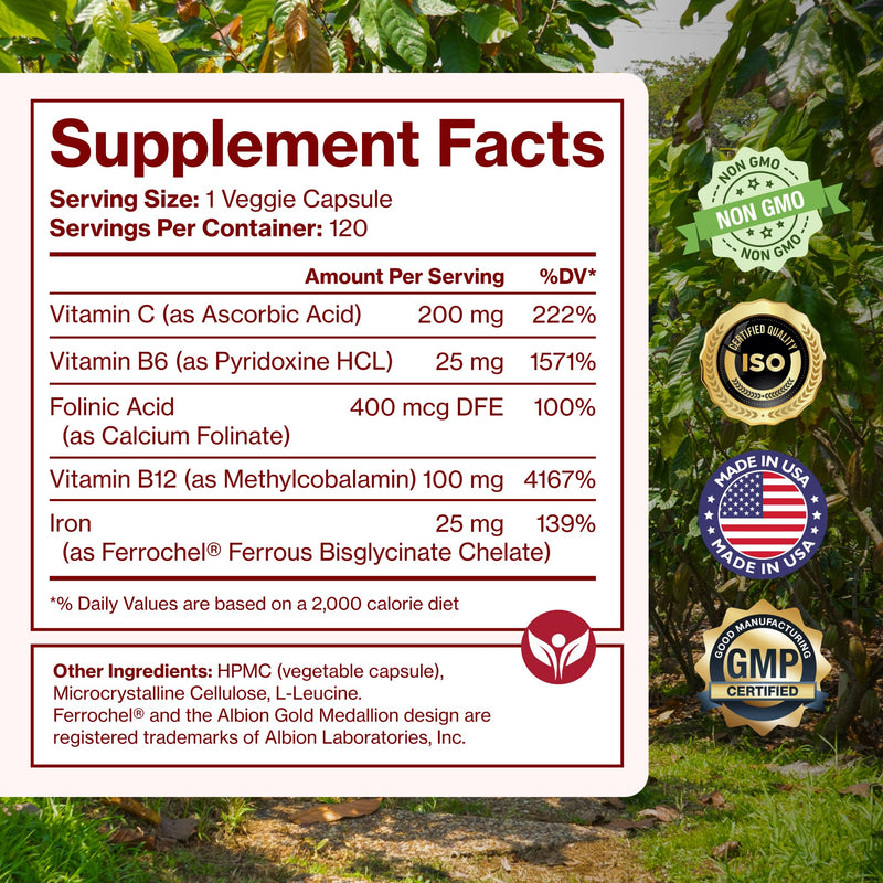 Iron Supplement for Women - Gentle Chelate Iron Bisglycinate 25mg with Vitamin C, B6, B12 Folic Acid ‚Äì Supports Iron Deficiency, Menstrual Health & Energy - 120 Count - BeesActive Australia