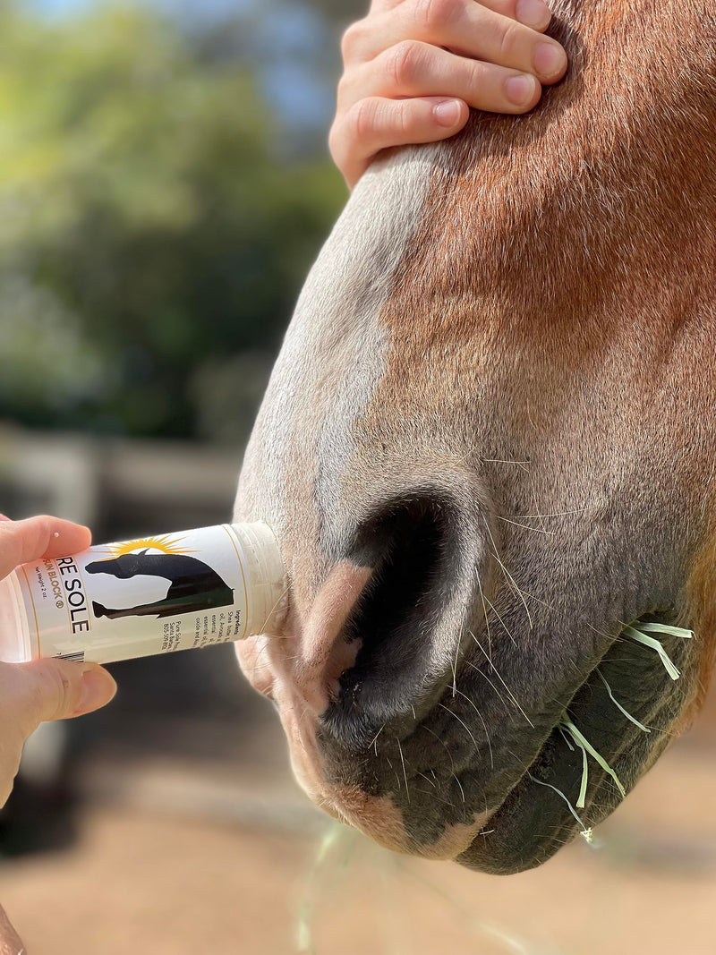 Sunscreen and Shampoo for Horses - Pure Sole All Natural Sunscreen in 2 oz. Push Up Stick and Soothe and Shine Shampoo in 32 oz. Bottle Bundle - BeesActive Australia