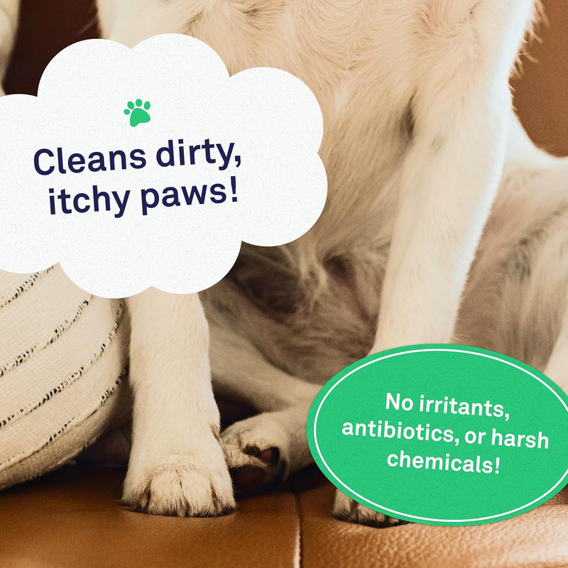 Petpost | Paw Wipes for Dogs - Nourishing, Revitalizing Dog Paw Cleaner with Coconut Oil, Jojoba Oil, and Aloe - Ultra Soft Cotton Pads - Cherry Blossom Scent 70 ct. - BeesActive Australia