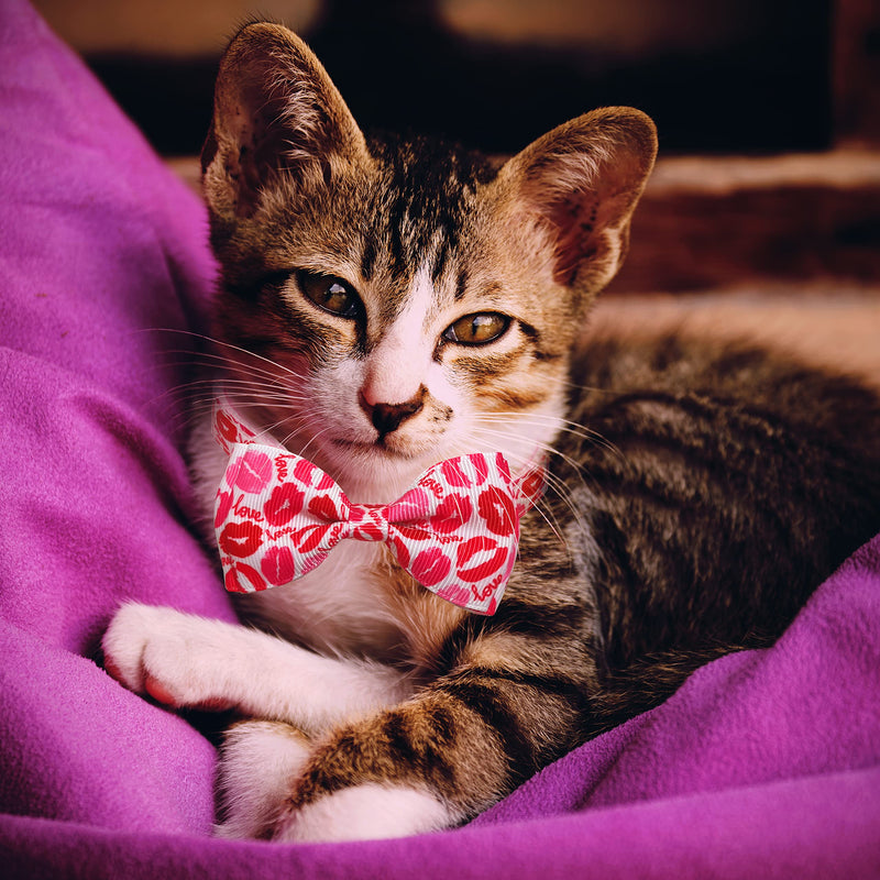 Valentine Bow Tie Cat Collar Set with Bell, Holiday Red Heart and Pink Kiss Cat Collar for Boys and Girls Kitty Kittens Pattern 2 - BeesActive Australia