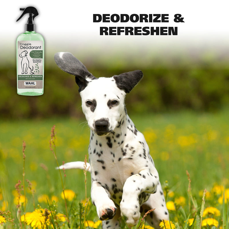 Wahl Deodorizing & Refreshing Pet Deodorant & 4-in-1 Calming Pet Shampoo – Cleans, Conditions, Detangles, & Moisturizes with Lavender Chamomile - 24 Oz - PawsPlanet Australia