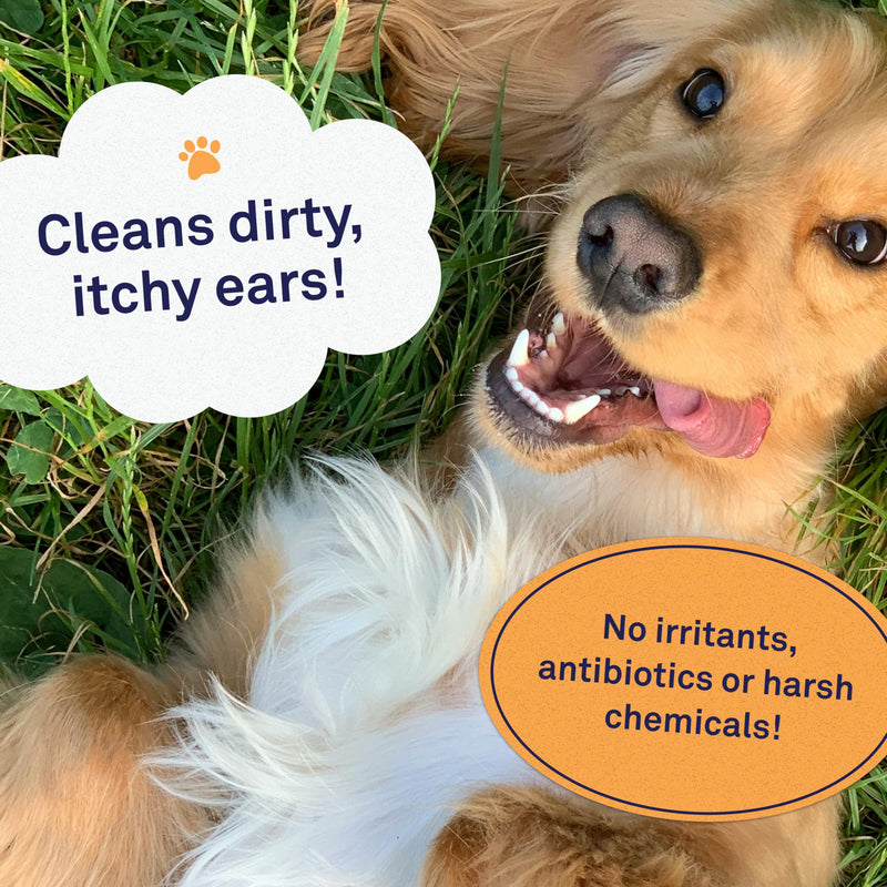Petpost | Large Dog Ear Cleaner Wipes - Ultra Soft XL Cotton Pads in Coconut Oil Aloe Solution - Remedy for Dog Ear Rinse & Cleanser 60 ct. - PawsPlanet Australia