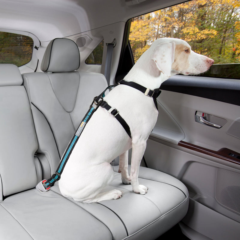 Kurgo Direct to Seatbelt Tether for Dogs, Car Seat Belt for Pets, Adjustable Dog Safety Belt Leash, Quick & Easy Installation, Works with Any Pet Harness, (Carabiner Clip, Coastal Blue) 1 Count (Pack of 1) Regular - BeesActive Australia