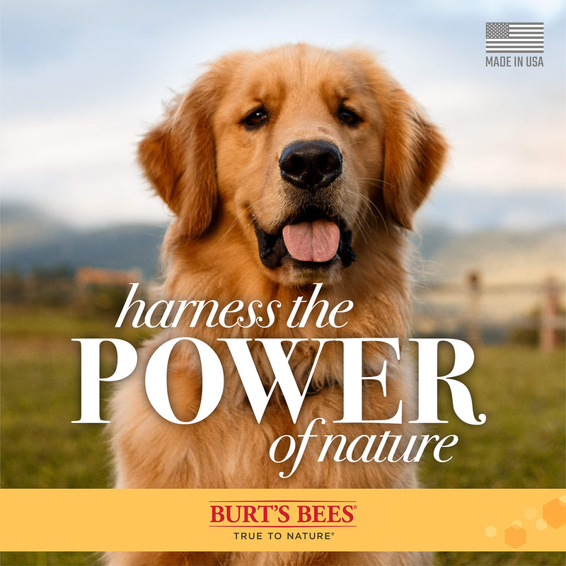 Burt's Bees for Pets Deodorizing Spray for Dogs with Apple and Rosemary, 99.7% Natural Origin Formulas, Waterless Dog Shampoo - Gentle Dry Shampoo for Dogs, Best Dog Shampoo, 10 oz Unscented 10 Fl Oz (Pack of 1) - BeesActive Australia