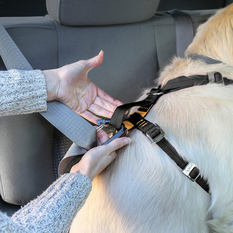 Kurgo Tru-Fit Enhanced Strength Dog Harness - Crash Tested Car Safety Harness for Dogs, No Pull Dog Harness, Includes Pet Safety Seat Belt (Black, Large) Black Large (Pack of 1) - BeesActive Australia