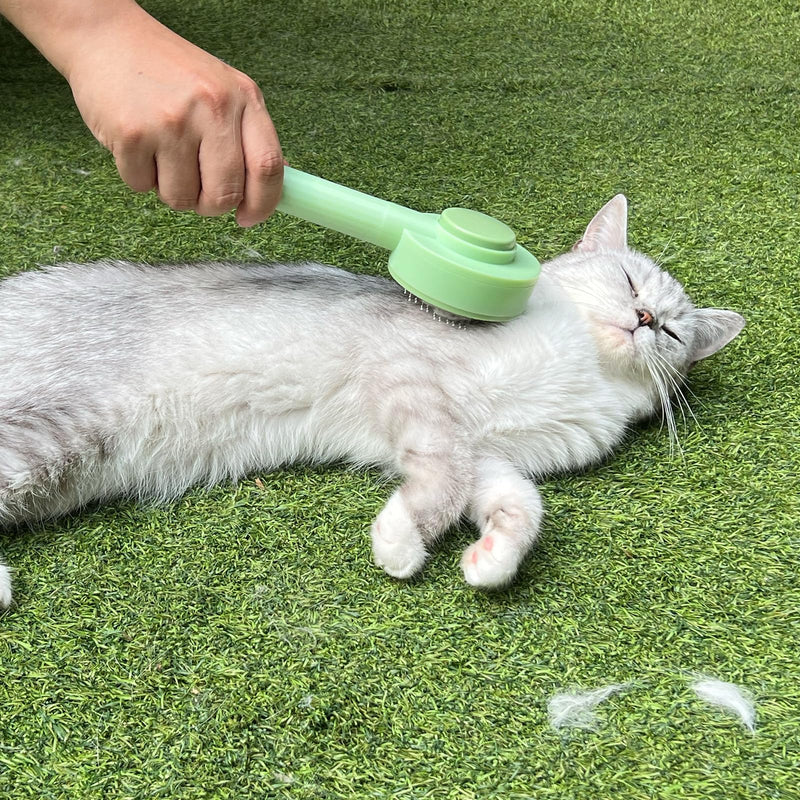 2-in-1 Grooming Brush: Hair Remover Brush and Deshedding Brush, for Indoor Long Haired Cats and Shedding Cats and Dogs, Quick to Clean and Washable, Easy Storage Suspension (Green) Green - BeesActive Australia
