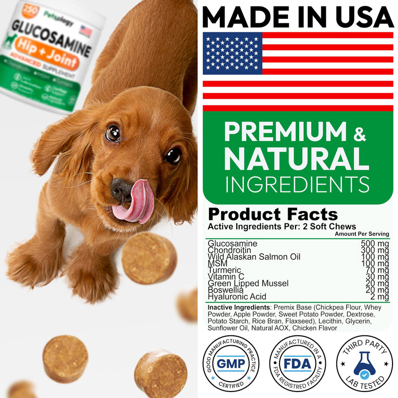 Glucosamine for Dogs - 250 Chews with Chondroitin - Hip and Joint Supplement with MSM - Turmeric - Omega 3 - Joint Pain Relief - Advanced Support for Dog Health - For Large, Medium & Small Breeds 250 Treats