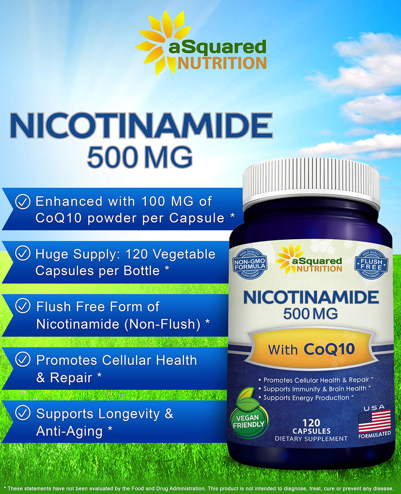 Nicotinamide with CoQ10 (120 Capsules) - Vitamin B3 500mg (Niacinamide Flush Free) - Coenzyme Q10 Powder - VIT B-3 & Coq 10 Supplement Pills to Support Energy, NAD, & Skin Cell Health