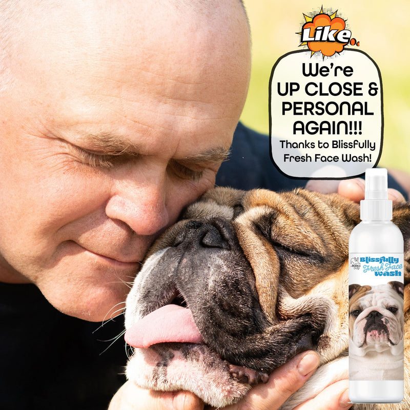 The Blissful Dog Blissfully Fresh Face Wash - Cleans Facial Folds and Wrinkles, 4-Ounce, Bulldog 4 Fl Oz (Pack of 1) - PawsPlanet Australia