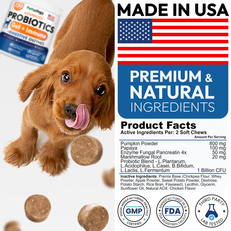 Probiotics for Dogs - 250 Dog Probiotics Chews - Digestive Enzymes & Prebiotics - Support Gut Health, Diarrhea, Gas & Constipation Relief - Itchy Skin, Allergies, Yeast Balance - Advanced Supplement 250 Chews Probiotic Chews