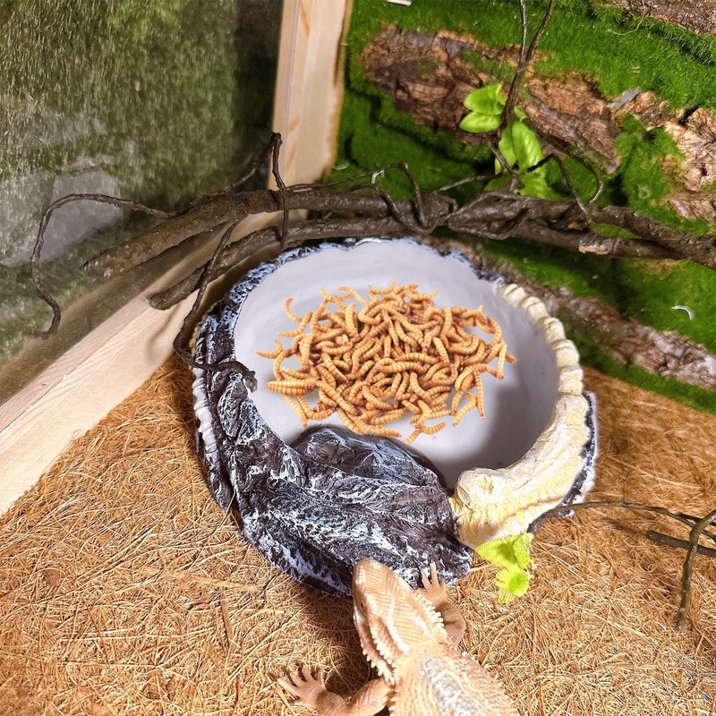 Tfwadmx Hermit Crab Water Bowl, Small Reptile Feeding Dish, Tortoise Water Dish, Hermit Crab Food Dish, Reptile Food Bowl for Geckos Corn Snakes Turtles Small Bowl-1Pcs - BeesActive Australia