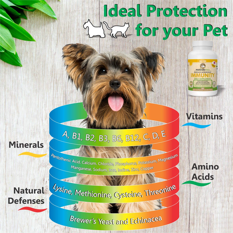 Immune Support Dog Supplement - Dog Allergy Relief with Vitamins, Minerals, Echinacea and Brewers Yeast for Dogs - Immunity Dog Health Supplies, Dog Itch Relief - Cat & Dog Vitamins and Supplements - PawsPlanet Australia