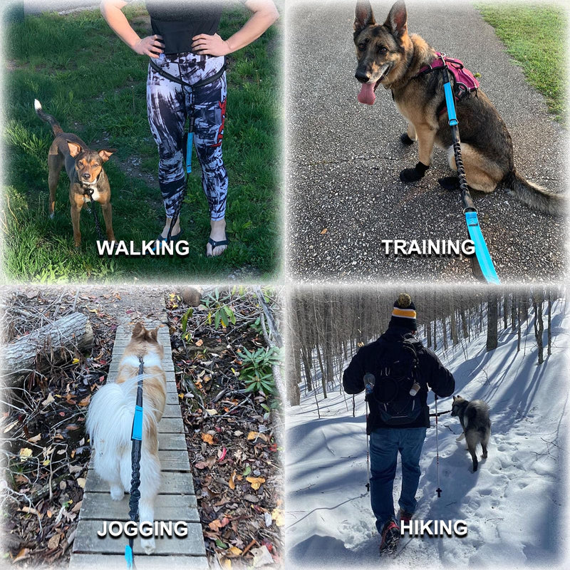Hands Free Dog Leash for Running-Nylon Dog Leash with Zipper Pouch,Dog Belt for Medium & Small Dogs,Reflective Waist Leash for Dog Walking, Training,Jogging (Black) Black - BeesActive Australia