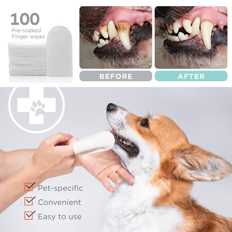 Dental Finger Wipes for Dogs - 100 Wipes - Vet Formulated Dog Dental Teeth Cleaning Wipes for Dogs - Pre-Soaked Oral Cleaning Pads- Reduces Plaque, Tartar & Dog Breath Freshener 100 Finger Wipes - PawsPlanet Australia