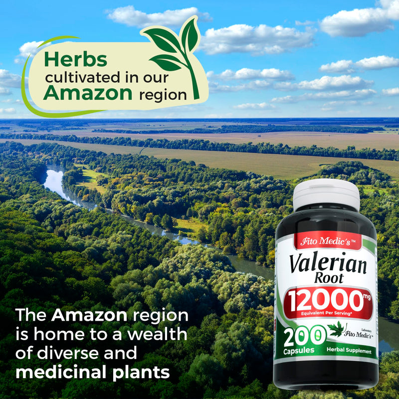 FITO MEDIC'S Lab | valerian root |200 capsules |12000 mg| valerian root capsules | valerian | valerian root herb | valerian root extract | concentrate extract |Ultra high Absorption. - BeesActive Australia