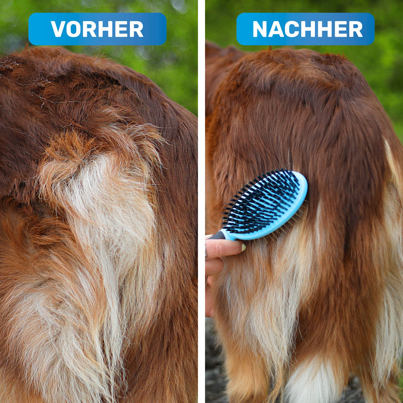 BluePet "DoppelDecker" 2-in-1 dog brush for long hair and short hair - also for puppies and cats - smoothing, detangling, brushing out - all-round talent for daily grooming blue - BeesActive Australia